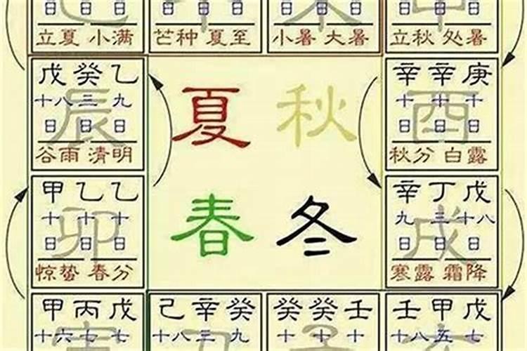 梦见乌龟在床上