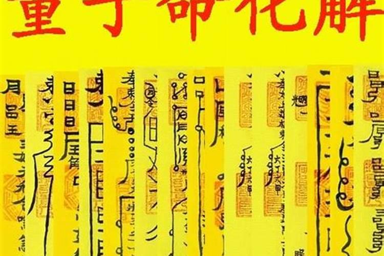 82年的狗2025年运势和财运怎么样