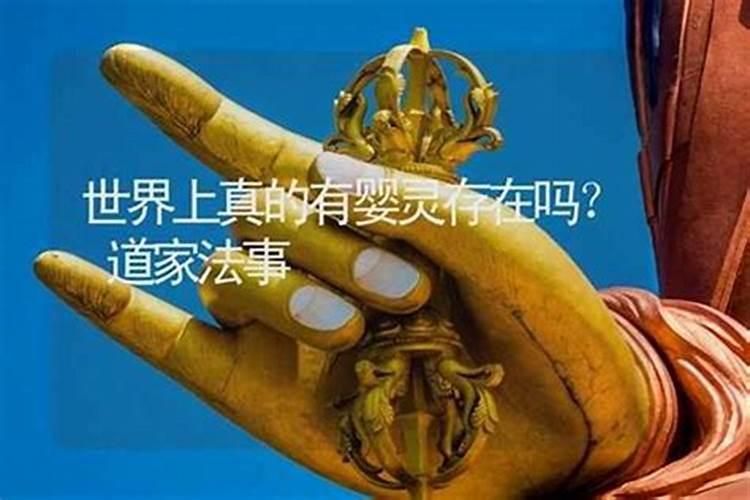 关于算命的软件有哪些