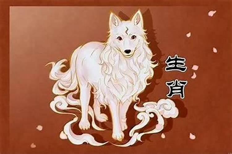 70年的狗男在2025年的运势如何