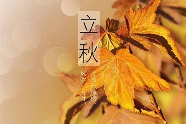 属虎人2024年运势及运程详解