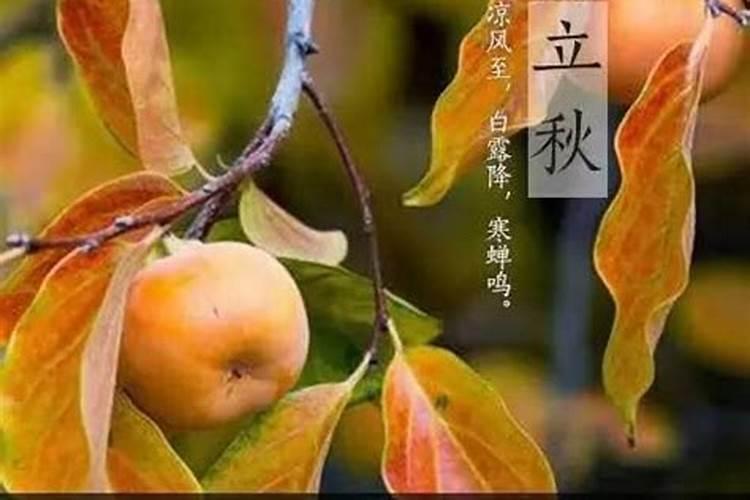 1986年属虎男在2025年每月运势及运程