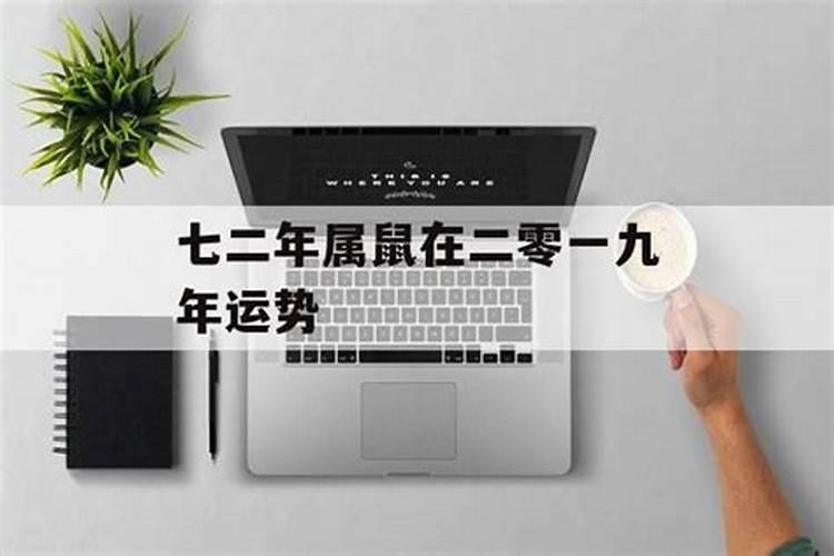 2025年1975年属兔男运程