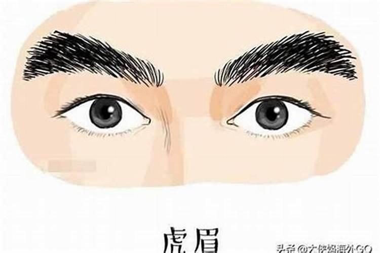 清明节可以开展的活动方案