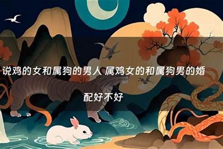 八字配对:属鸡男与属狗女合得来吗 结婚会怎样