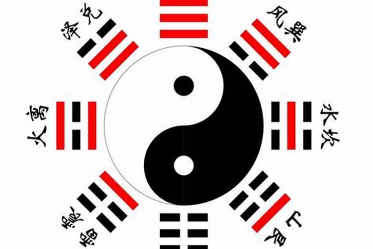 冬至节活动方案