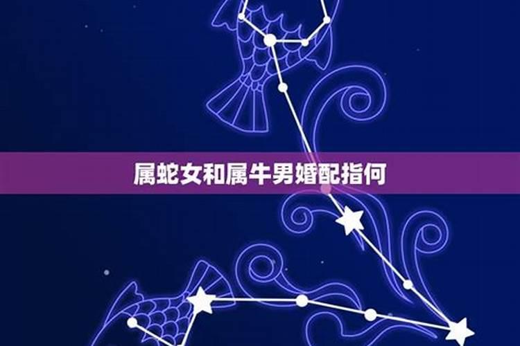 属鸡的男性和什么属相的女性最配