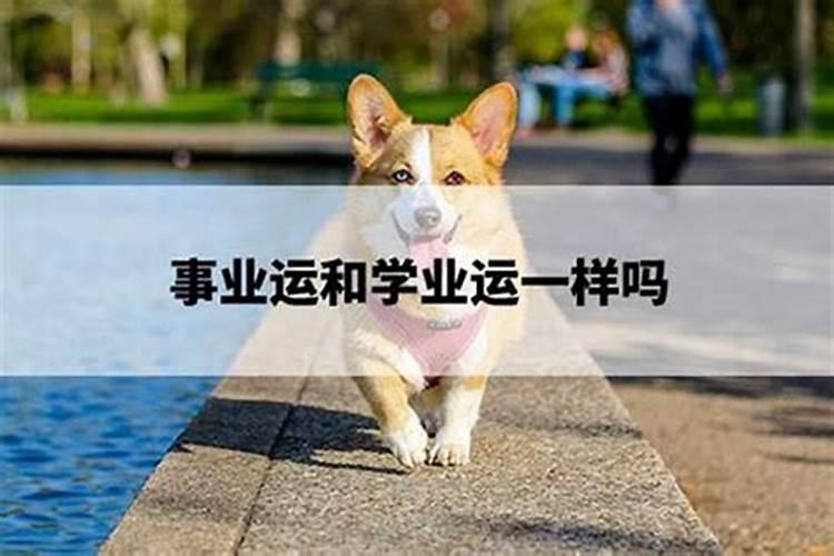 挽回老公最好的技巧知乎