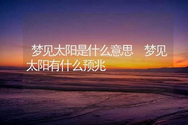 属猪的人2025年每月运势及运程详解