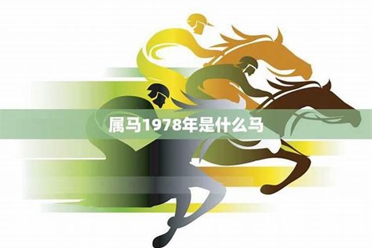属兔生在几月最命苦87年出生是孤寡命吗