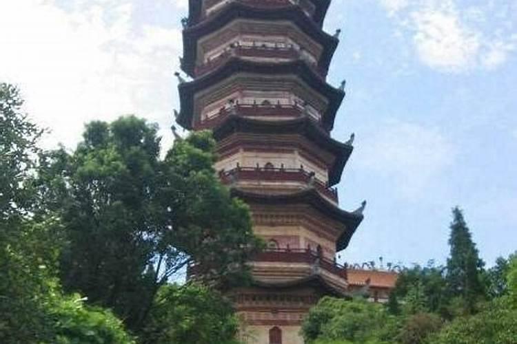 男猴女鼠为什么会离婚 属猴男与属鼠女大忌