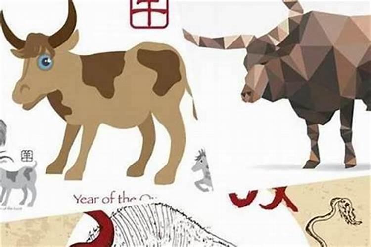 2025属龙犯太岁吗