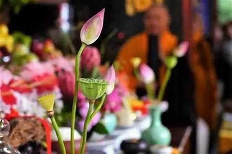 姐姐做梦梦到妹妹结婚是什么意思