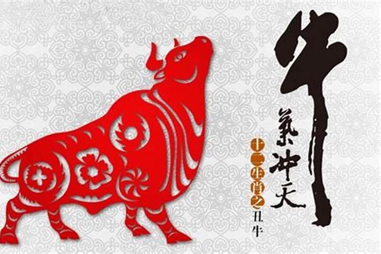 1985年属牛人的详细运势