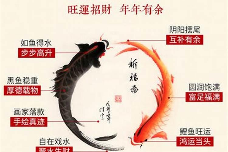 生辰八字帮看下可以养几条鱼