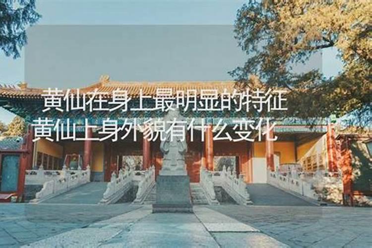 2025年犯太岁的生肖猪怎么化解 2025年犯太岁的生肖猪怎么躲星