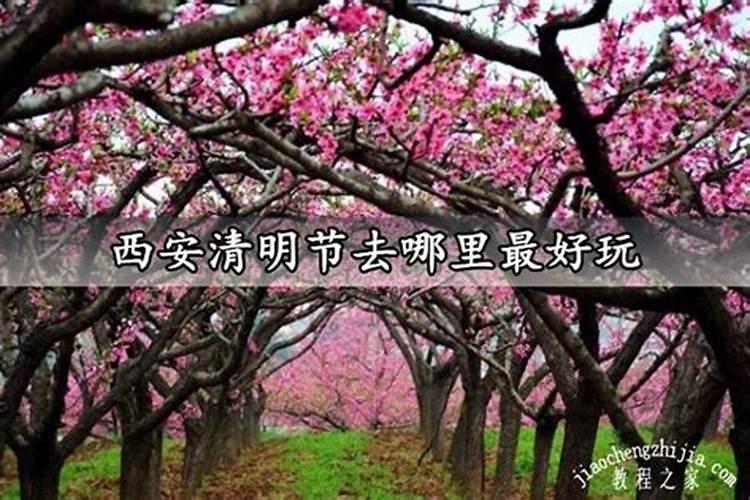 西安清明节带孩子去哪里玩比较好