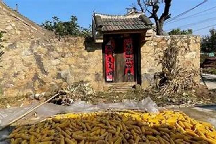 正印坐正财的人命运好不好？