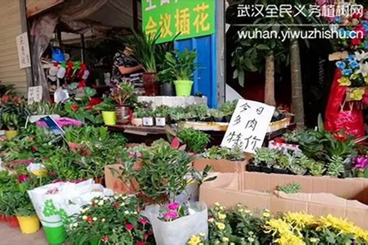 清明节各地都吃什么
