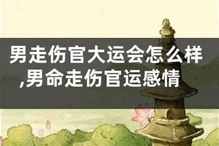 76年属龙2025年多大了