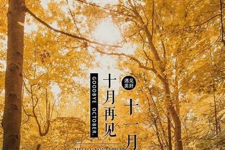 11月出生好日子有哪些