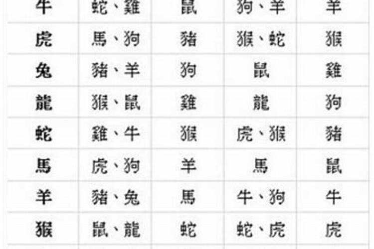八字婚配合婚 合生肖日柱命宫？