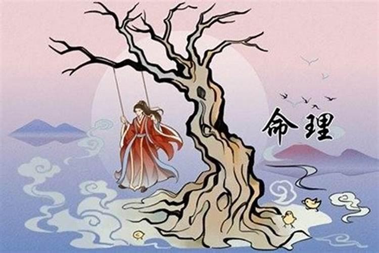 冬至前一天出生的女孩