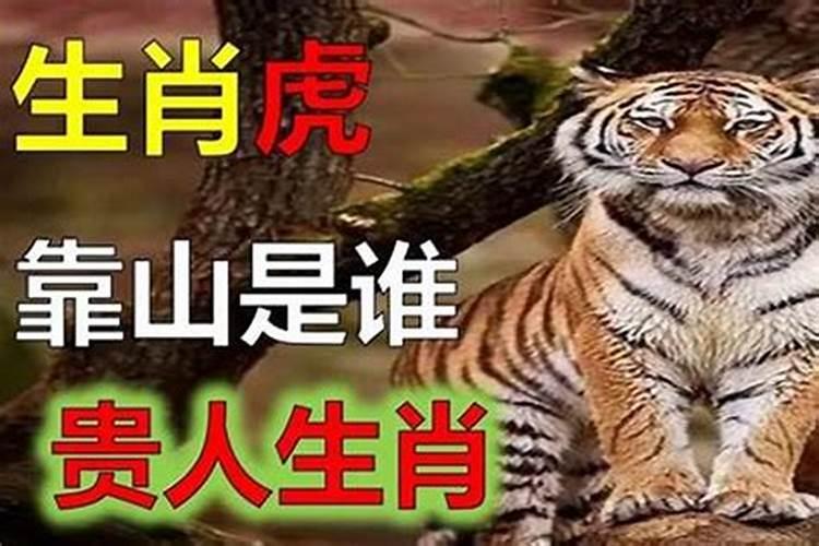 86年的属虎女今年注定有情人吗？