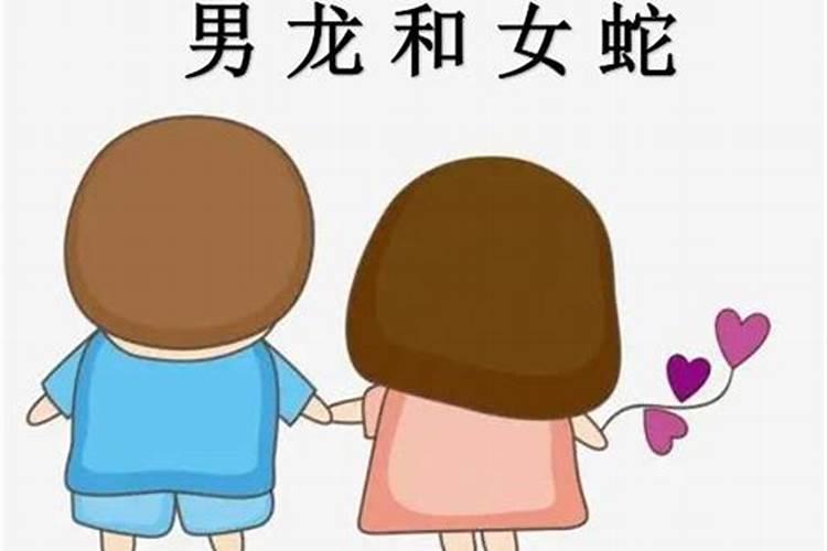 龙与蛇的属相,男蛇女龙属相合吗