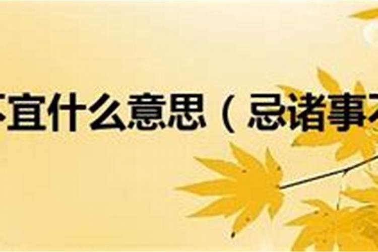 历史上是从什么时候开始过春节？和现在的春节有何区别？