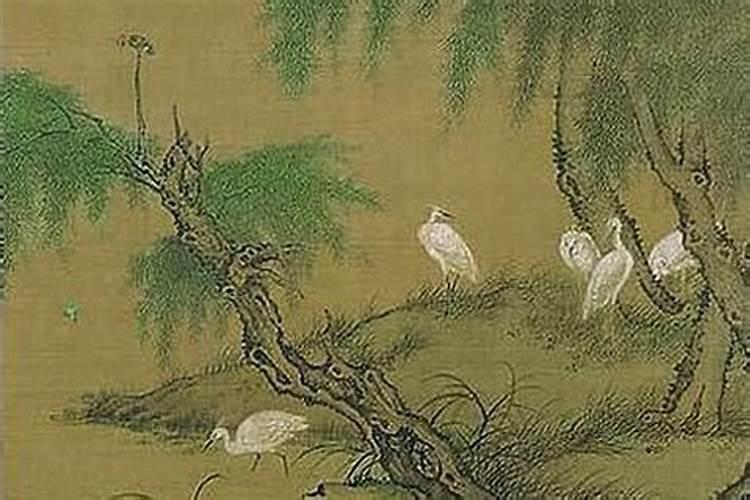 梦到猫生了一窝小猫有什么征兆