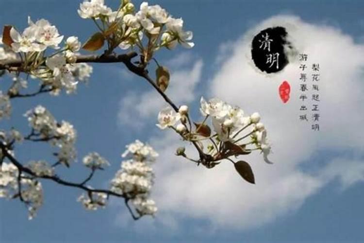 清明节在农历几月几日