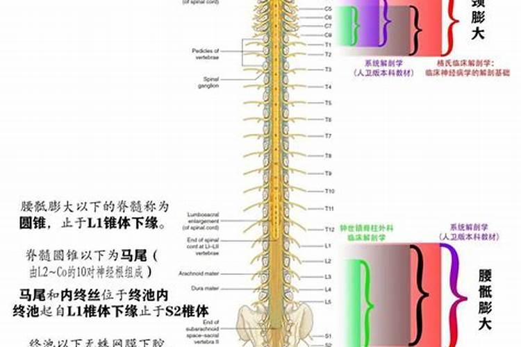 属猴的人如何增运改命
