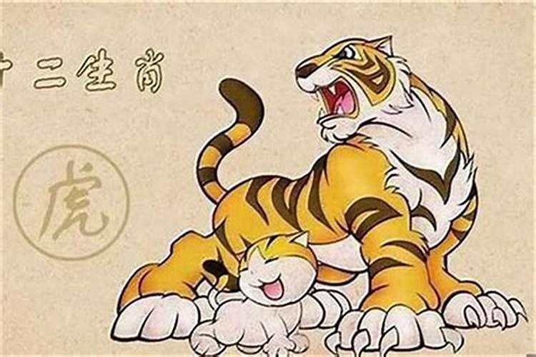 属鸡人2025全年运势 属鸡人2025年每月运势