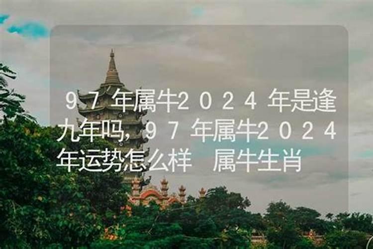 2025年属鸡男的全年运势如何