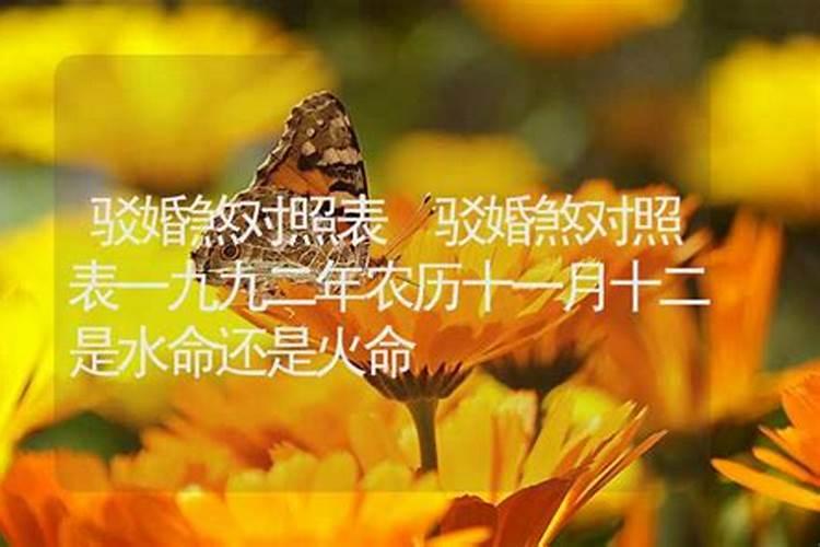 1964年属龙2025年每月运势