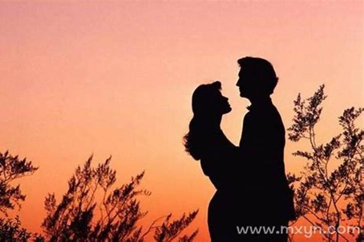 属狗和属鸡的适合做夫妻吗 属鸡和属狗的婚姻怎样