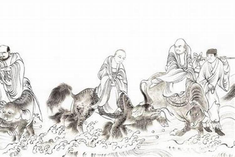 梦见大海龟在水里游过来