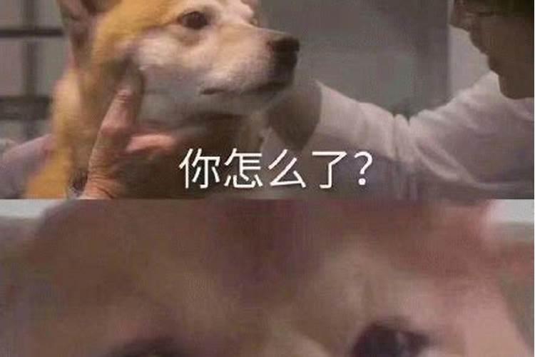 心眼坏的人的特征？