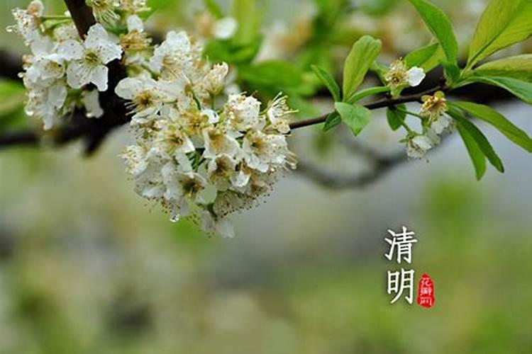清明节是几月几日农历