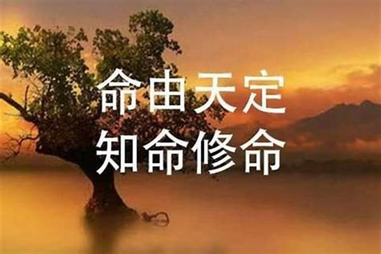 童子关是什么意思 童子关具体是什么意思