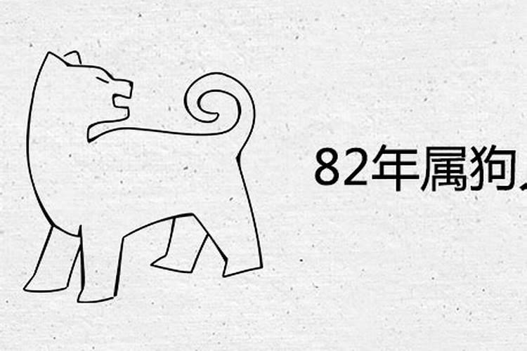 1982属狗女的一生婚姻状况怎么样