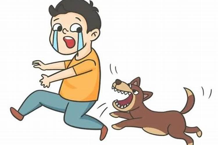梦见自家狗狗被别人开膛破肚