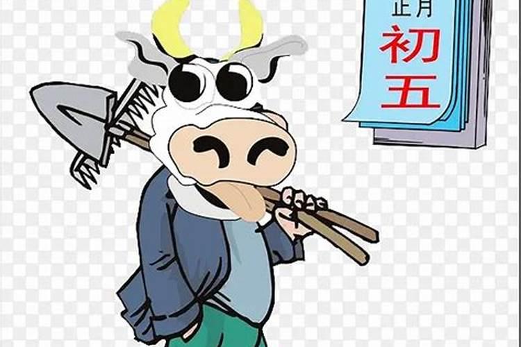 八字排盘免费软件