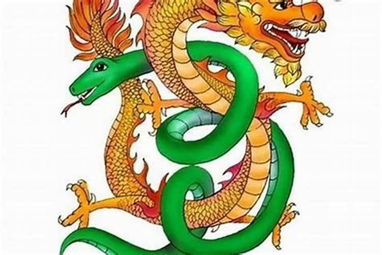 属龙女和属蛇男属性能到一起吗,