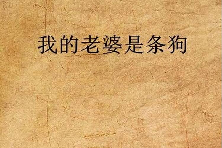 梦见自家狗狗叫爸爸