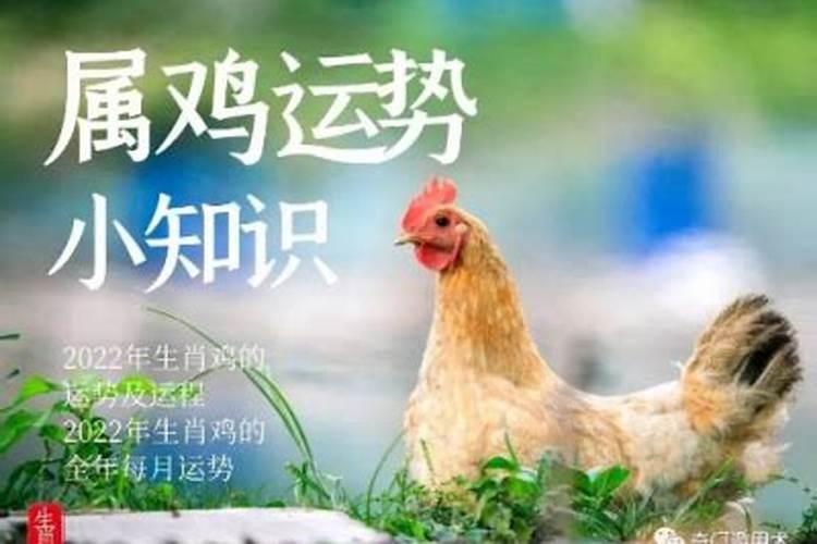 属鸡2025年运势及运程1981年出生
