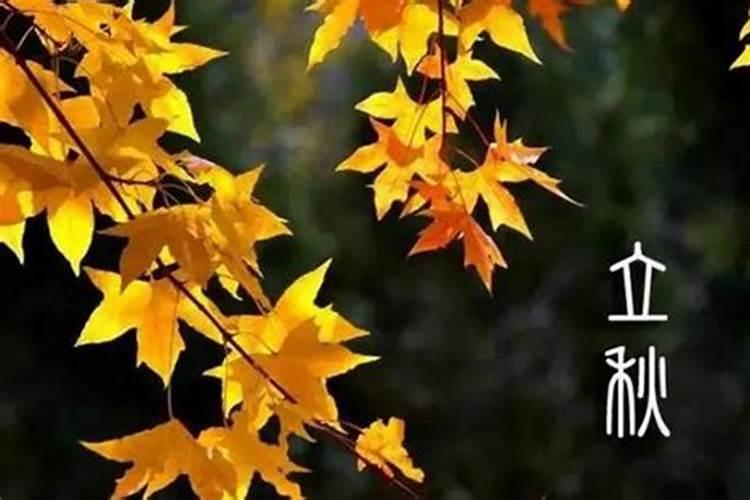 时柱癸巳出生的男虎