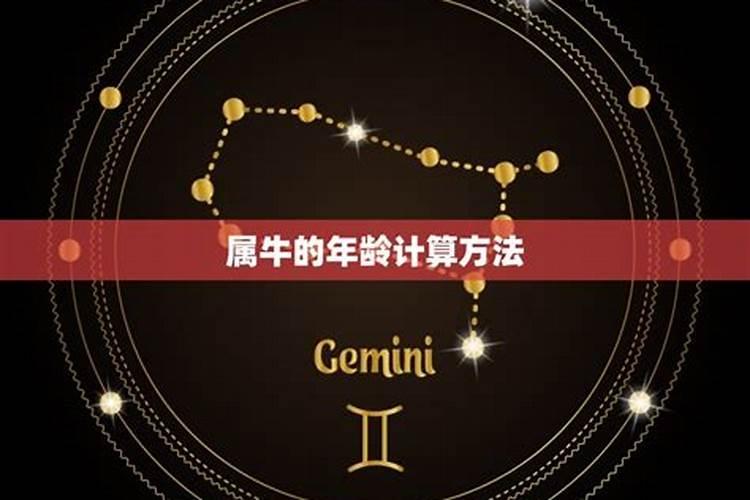 梦见拿了一些喜糖