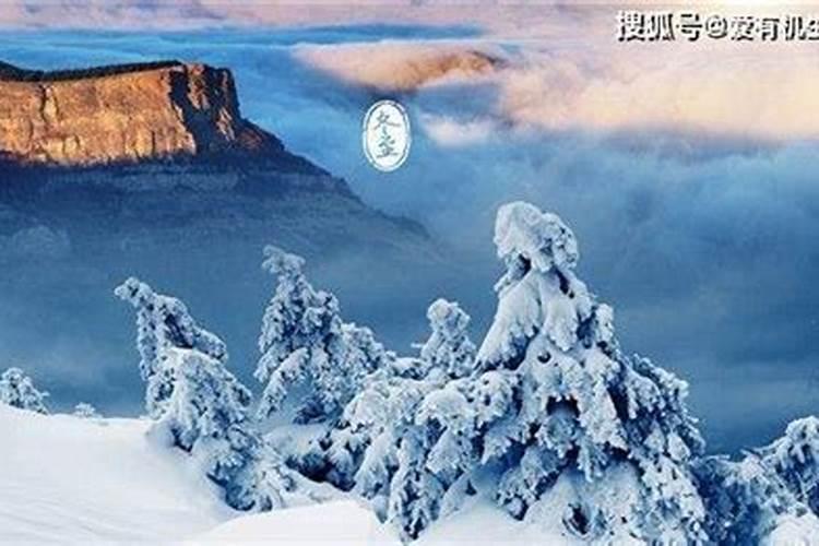 属猴2025年犯太岁吗